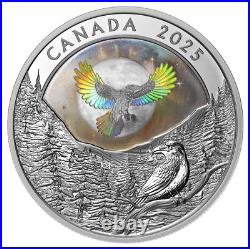 2025 Canada $20 Moon Sky Raven Holographic Fine Silver Coin
