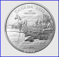 2025 Canada $30 Mustang Country By Robert Bateman 2 oz Pure Silver Coin