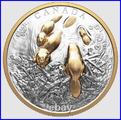 2025 Canada Canadian Symbol The Beaver $50 99.99% Pure Silver Coin