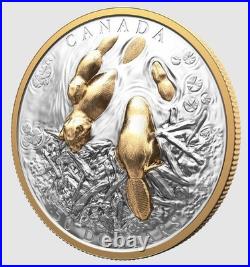 2025 Canada Canadian Symbol The Beaver $50 99.99% Pure Silver Coin