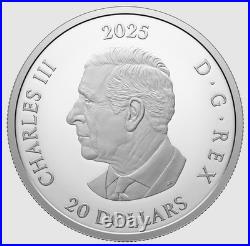 2025 Canada Dear Santa Glow In The Dark $20 99.99% Pure Silver Coin