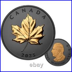 2025 Canada Elegant Maple Pure Silver Coin with Black Rhodium and Gold Plating