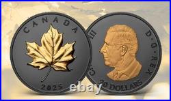 2025 Canada Gilded Elegant Maple Leaf Gold Plating $20 99.99% Pure Silver Coin