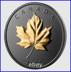 2025 Canada Gilded Elegant Maple Leaf Gold Plating $20 99.99% Pure Silver Coin