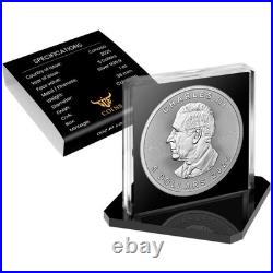 2025 Canada Maple Leaf 1 oz silver coin-Balcony Desire