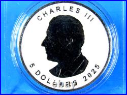 2025 Canada, Maple Leaf, Diamond Dust & Black Platinum in OGP with COA 2025 Canada, Maple Leaf, Diamond Dust & Black Platinum in OGP with COA