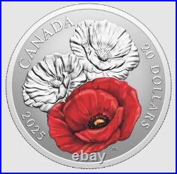 2025 Canada Remembrance Day $20 99.99% Pure Silver Coin