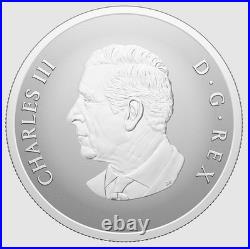 2025 Canada Remembrance Day $20 99.99% Pure Silver Coin