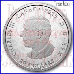 2025 Celebrating Canada's Diversity #2 Strength Abundance $20 Pure Silver Coin