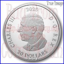 2025 Dear Santa $20 Pure Silver Proof Glow-In-The-Dark Coin Canada 2025 Dear Santa $20 Pure Silver Proof Glow-In-The-Dark Coin Canada