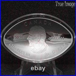 2025 Dinosaur Eye $20 1oz. Proof Pure Silver Curved Oval-Shaped Coin Canada