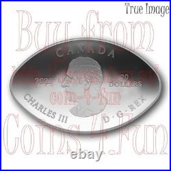 2025 Dinosaur Eye $20 1oz. Proof Pure Silver Curved Oval-Shaped Coin Canada