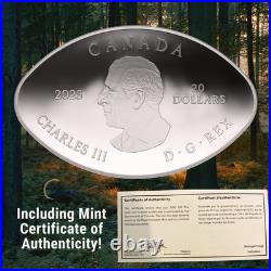 2025 Fine 1oz Silver Coin Dinosaur Eye Royal Canadian Mint Canadian Silver Coin