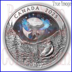 2025 Moon Sky Raven $20 Proof Pure Silver Holographic Coin Canada 2025 Moon Sky Raven $20 Proof Pure Silver Holographic Coin Canada
