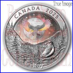 2025 Moon Sky Raven $20 Proof Pure Silver Holographic Coin Canada 2025 Moon Sky Raven $20 Proof Pure Silver Holographic Coin Canada