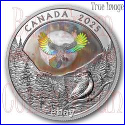 2025 Moon Sky Raven $20 Proof Pure Silver Holographic Coin Canada 2025 Moon Sky Raven $20 Proof Pure Silver Holographic Coin Canada