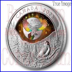 2025 Moon Sky Raven $20 Proof Pure Silver Holographic Coin Canada 2025 Moon Sky Raven $20 Proof Pure Silver Holographic Coin Canada