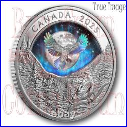 2025 Moon Sky Raven $20 Proof Pure Silver Holographic Coin Canada 2025 Moon Sky Raven $20 Proof Pure Silver Holographic Coin Canada