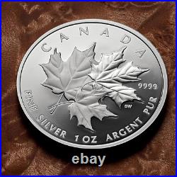 2025 Triple Maple 1 oz Silver Collectible Coin collectible Royal Canadian Mint
