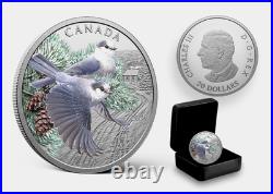 2026 Canada $20 Colourful Birds Canada Jays One Ounce Pure Silver Coin