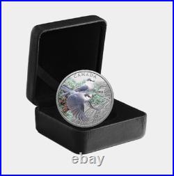 2026 Canada $20 Colourful Birds Canada Jays One Ounce Pure Silver Coin