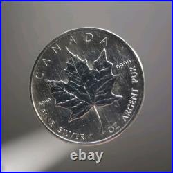 2 X 1 Ounce Sealed RCM Silver Maple Coins 2008 Excellent, Mint Sealed BU Grade