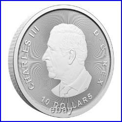 2 oz. 99.99% Pure Silver Coin Canada Goose, 2025