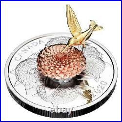 5 oz. Pure Silver Coin The Hummingbird and the Bloom Mintage 1,250 (2020)