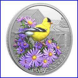AMERICAN GOLDFINCH 2024 CANADA 1oz. 9999 Pure Silver $20 Coin #4 in Birds Series