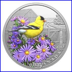 AMERICAN GOLDFINCH 2024 CANADA 1oz. 9999 Pure Silver $20 Coin #4 in Birds Series