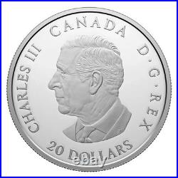 AMERICAN GOLDFINCH 2024 CANADA 1oz. 9999 Pure Silver $20 Coin #4 in Birds Series