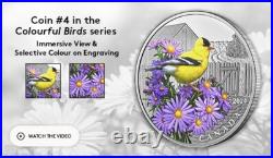 AMERICAN GOLDFINCH 2024 CANADA 1oz. 9999 Pure Silver $20 Coin #4 in Birds Series
