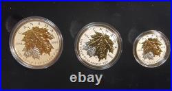 A collector's set of five 2014 Canadian Mint silver coins