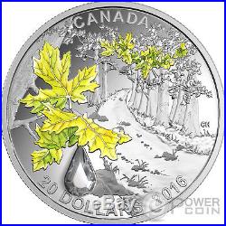 BIGLEAF MAPLE Jewel Of The Rain Swarovski Silver Coin 20$ Canada 2016