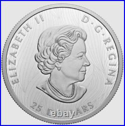 BOLD BISON 2021 CANADA ExtraOrdinary High Relief 1oz. 9999 Pure Silver $25 Coin BOLD BISON 2021 CANADA ExtraOrdinary High Relief 1oz. 9999 Pure Silver $25 Coin