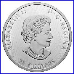 Bold Bison 2021 $25 Fine Silver Extraordinarily High Relief (ehr) Coin Rcm