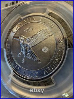 CANADA. 2020, 2 Dollars, Silver PCGS MS63- Top Pop? Red-Tailed Hawk, Maple
