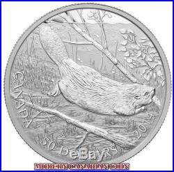 CANADA $50 5 oz. FINE SILVER COIN SWIMMING BEAVER 2014 LOW MINTAGE RCM