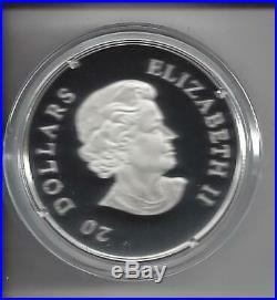 Canada 2011 Snowflake 7 Swarovski Emarld/Elements 20$ Pure Silver Proof Coin