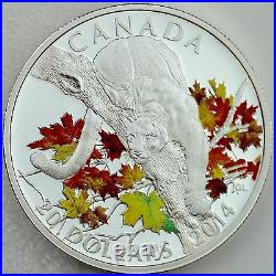 Canada 2014 $20 Cougar in Autumn Maple Tree 1 oz. Pure Silver Color Proof Coin