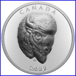 Canada 2021 25$ Bold Bison 1 oz Pure Silver Coin EHR Royal Canadian Mint