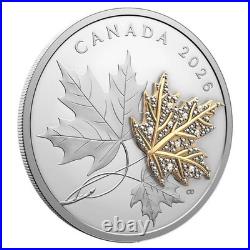Canada 2026 $30 Precious Maple Leaves. 9999 Fine Silver Coin