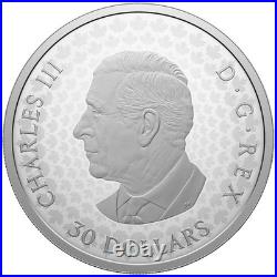 Canada 2026 $30 Precious Maple Leaves. 9999 Fine Silver Coin