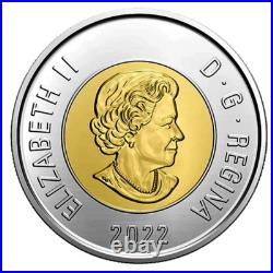 Canada $20 Dollar Pure Silver Queen Elizabeth II's Cypher, 7-Coin Set, 2022