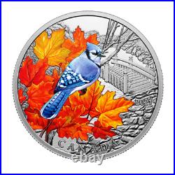 Canada $20 Dollars Silver Coin, COLOURFUL BIRDS BLUE JAY, 2021