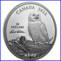Canada $30 Dollars 2 Oz Fine Silver 50mm Coin, SNOWY OWL on DRIFTWOOD, 2022
