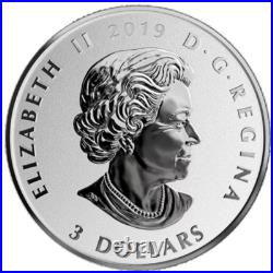 Canada $3 Dollars SILVER Coin, Fun and Festivities NIAGARA FALLS, 2019