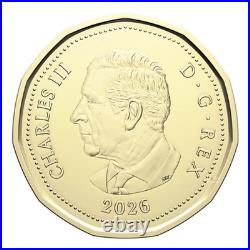 Canada 99.99 Pure Silver 1 Oz $20 FIFA World Cup, 7-Coin Gift Set, 2026