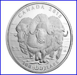 Canada Face Value Series 2015 $100 for $100 Fine Silver Coin, UNC 100 for 100