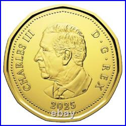 Canada Ultra-High Relief $20 Silver MAPLE LEAF Coin Set SML, Pink Gold 2025